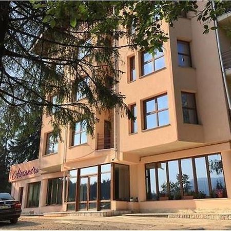 Pensiunea Alexandra Predeal Exterior foto